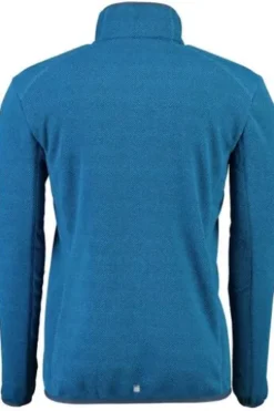 REGATTA Fleece-Jacke Torrens blau