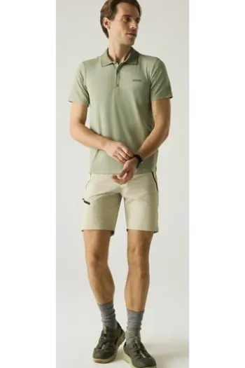 REGATTA Polo-Shirt Maverik light sage