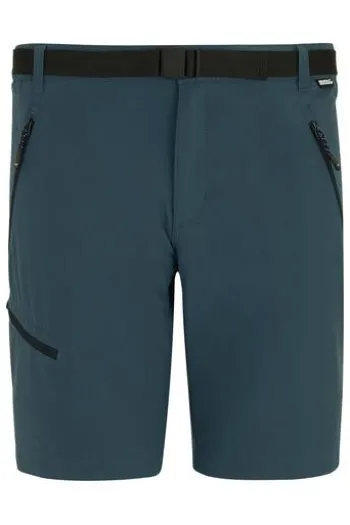 REGATTA Shorts Xert night sky