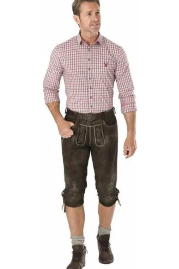 SPIETH & WENSKY Leder-Kniebundhose Hundorf buche